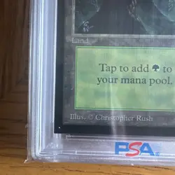 1993 MtG ✨FOREST Lands✨ Magic: the Gathering CE PSA 9 - Image 5