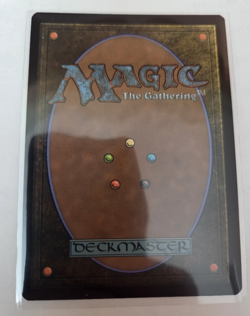 MTG, Arwen, Mortal Queen (Borderless Poster)- the Lord of the Rings: NM - Image 2