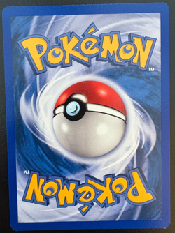 Pokemon TCG Lotad Sandstorm 67/100 Regular NM/LP - Image 2