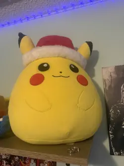 Personal Pokemon Collection (plushies, boxes, etc.) (Huge Lot) (modern) - Image 3