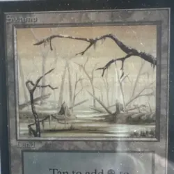 Graded PSA 10 1993 Magic: the Gathering Swamp CE WOTC - Image 3