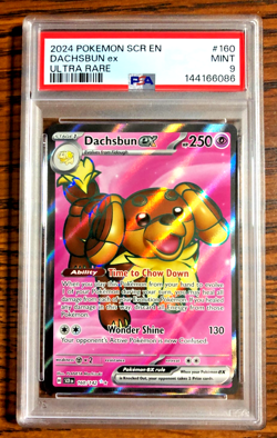 Dachsbun EX Full Art Ultra Rare #160 - PSA MINT 9 - Stellar Crown - Pokemon TCG - Image 1