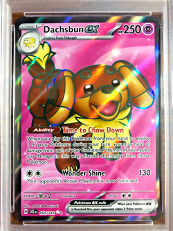 Dachsbun EX Full Art Ultra Rare #160 - PSA MINT 9 - Stellar Crown - Pokemon TCG - Image 2