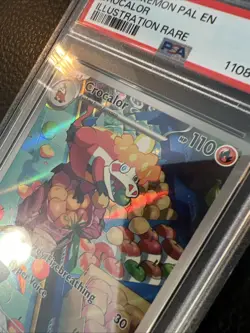 PSA 8 NM-MT Crocalor 202/193 Illustration Rare Full Art - Pokemon PAL SV02 - Image 2