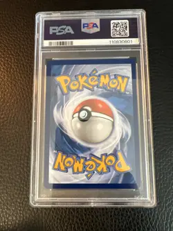 PSA 8 NM-MT Crocalor 202/193 Illustration Rare Full Art - Pokemon PAL SV02 - Image 5