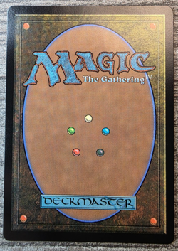 MTG - Swamp Dragon Eye - Bordered, Regular, Basic Land TDM - RARE 0289 MINT - Image 2