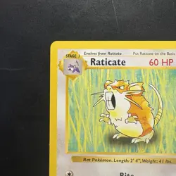 Pokemon Vintage Shadowless Raticate 040/102 Base Set Wizards Of The Coast 1999 - Image 2
