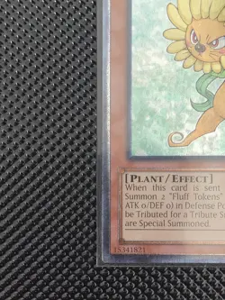 Yu-Gi-Oh! x1 Dandylion AP04-EN001 NM Ultimate Rare - Image 3