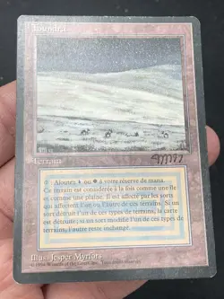 ***FBB French Tundra Signed (Vertical Bend)*** MTG Revised Magic Jesper Myrfors - Image 3