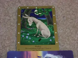 Bella Sara trading card - 2nd Series - Pedro 42/97 - common card - Image 1