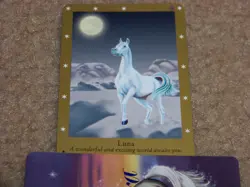 Bella Sara trading card - 2nd Series - Luna 31/97 - common card - Image 1