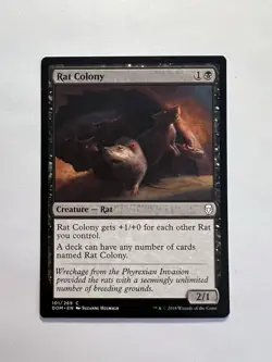 Rat Colony - MTG Dominaria - NM - Image 1