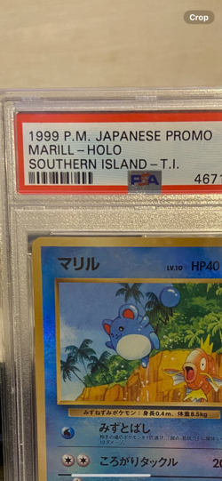 1999 pokemon Japanese promo Marill- holo southern islands PSA 9 - Image 2