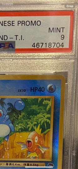 1999 pokemon Japanese promo Marill- holo southern islands PSA 9 - Image 3