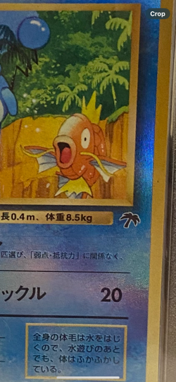 1999 pokemon Japanese promo Marill- holo southern islands PSA 9 - Image 4