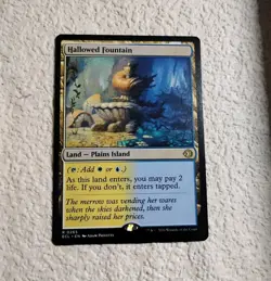 MTG Hallowed Fountain - Lorwyn Eclipsed #265 Land Plains Island Card Non Foil NM - Image 3