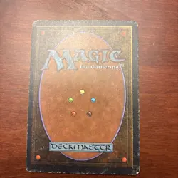 Savannah Revised Edition Regular - Image 2