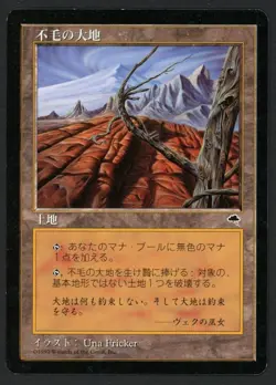 ***Japanese Wasteland*** MTG Tempest Magic Kid Icarus - Image 1