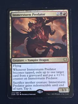 1x Immersturm Predator (214) Kaldheim LP MTG Magic the Gathering x1 MKE - Image 1