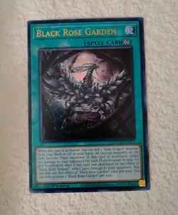 Black Rose Garden DOOD-EN055 YU-GI-OH Ultra Rare 1st Edition NM/MINT - Image 1