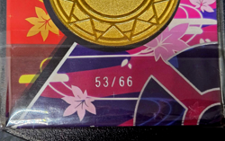 Pokemon Pikachu Metal Coin NJ - Eif Origins Collectors 2.0 53/66 Case Hit MINT - Image 3