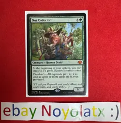 1x NM MTG Nut Collector - Dominaria Remastered - Image 1