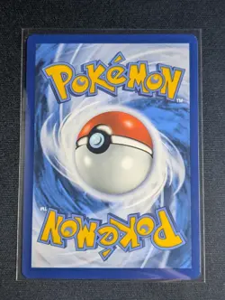 Pikachu 025 & Eevee 133 - Pokemon Together PROMO Stamped - NM Condition - Image 3