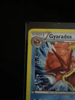 Pokemon TCG XY Gyarados Holo Black Star Promo Card XY109 - Image 5