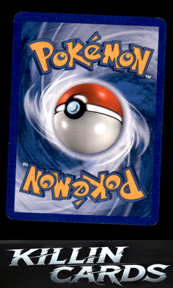 Linoone 44/100 Pokemon Uncommon Sandstorm Card DM - Image 2