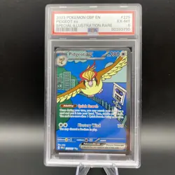 Pokemon TCG Pidgeot ex SV03: Obsidian Flames 225/197 Holo Special PSA 6 EX-MT - Image 1