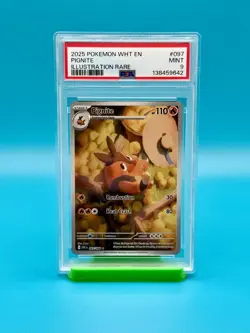 PSA 9 - 2025 POKEMON, WHT EN, PIGNITE, ILLUSTRATION RARE - Image 1