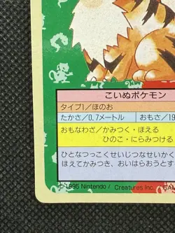 Pokemon Card Japanese Growlithe No. 058 Top sun Topsun Nintendo 1995 Blue Back - Image 5