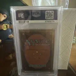 Northern Paladin1993 MTG - Magic: the Gathering (CE) - PSA 9 - Image 5