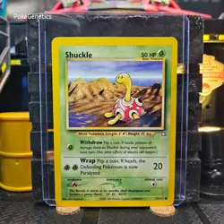 Shuckle Neo Genesis Pokemon TCG 72/111 Unlimited Common - Image 1