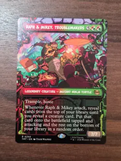 Raph & Mikey, Troublemakers (Showcase) - NM - TMT - 0250 - TMNT - Ships now! - Image 1