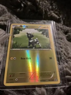 Pokemon TCG Blitzle Reverse Holo 40/114 Black&white Base - Image 1
