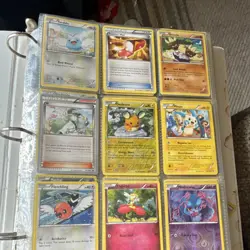 Pokemon Trading Card Game Binder Lot Nintendo Pikachu Mewtwo Torchic Eevee Raic… - Image 1
