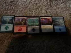 500 Basic Land - 100 of Each Type - Magic the Gathering (MTG) Bonus Full Arts! - Image 1