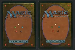***2x Adarkar Wastes*** MTG Ice Age Magic Kid Icarus - Image 2