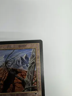 Magic The Gathering - Wasteland - Tempest - Image 3