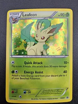 Pokemon TCG Eeveelutions Black & White Eevee Promo Set BW87-94 - LP+/NM - Image 2