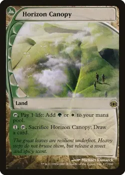 Horizon Canopy FUT LP MTG - Image 1
