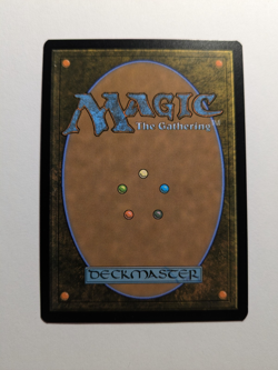 Paradox Haze (Showcase) Special Guests Regular 123 MtG - Image 2