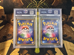 Pokemon Japanese Team Magma's Groudon EX 015 & Team Aqua's Kyogre EX 006 PSA 10 - Image 2