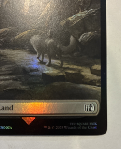Wastes Land Foil- LP - Final Fantasy Magic the Gathering FIN #309 - 2025 - Image 3