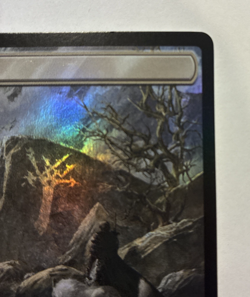 Wastes Land Foil- LP - Final Fantasy Magic the Gathering FIN #309 - 2025 - Image 4