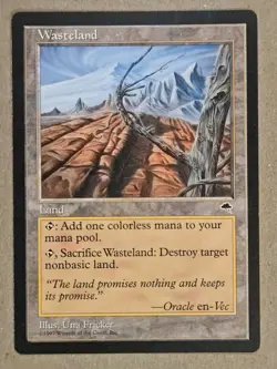 Wasteland - Tempest - Near Mint | MTG - Image 1