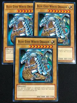 YUGIOH BLUE EYES WHITE DRAGON SDDC-EN004 1ST COMMON X3 (LP) - Image 1