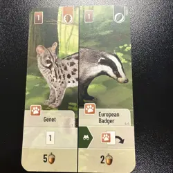Forest Shuffle - Genet & European Badger Promo Card P009 GenCon - Image 1