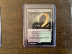 WASTEWOOD VERGE NON FOIL MTG Aetherdrift M/NM, English - Image 1